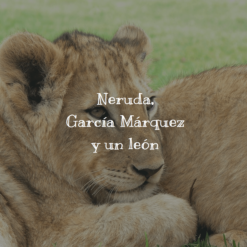 Neruda, García Márquez y un león